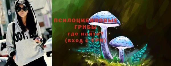 apvp Балахна