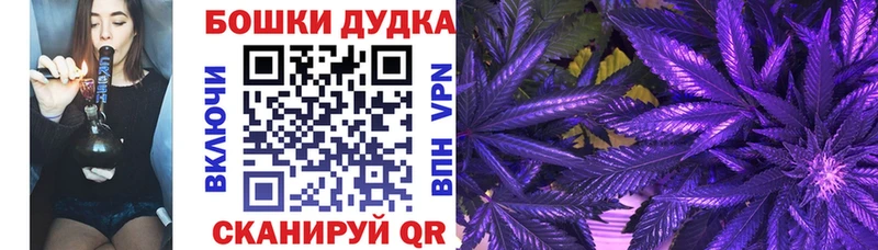 Бошки марихуана ГИДРОПОН  даркнет клад  Иноземцево 